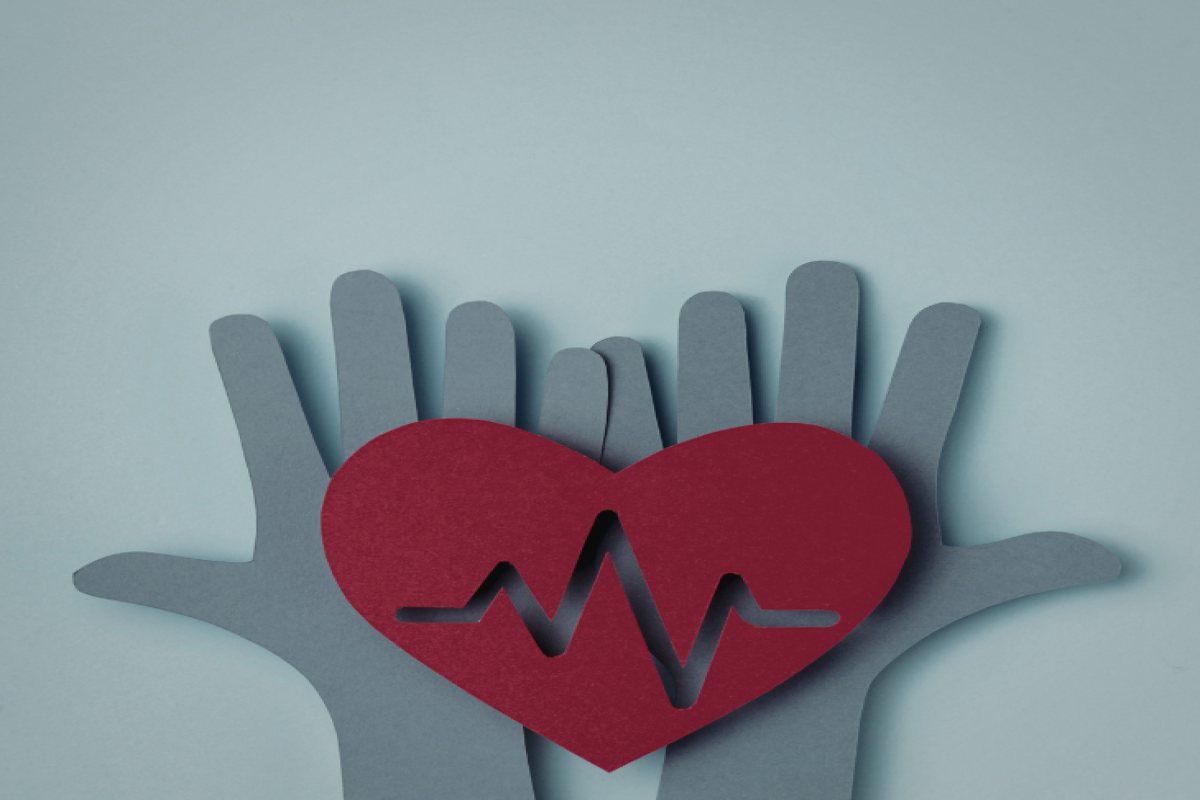 نشاط التعليم